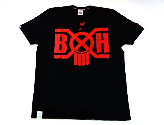 鉄　は　熱　い　う　ち　に　打　て　　　　(*ﾟ∀ﾟ)=3ﾑｯﾊｰ