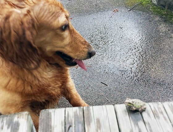 鉄　は　熱　い　う　ち　に　打　て　　　　(*ﾟ∀ﾟ)=3ﾑｯﾊｰ