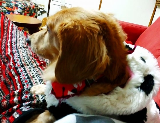 鉄　は　熱　い　う　ち　に　打　て　　　　(*ﾟ∀ﾟ)=3ﾑｯﾊｰ