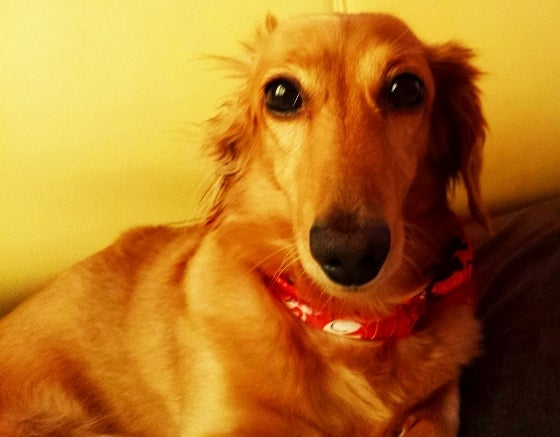 鉄　は　熱　い　う　ち　に　打　て　　　　(*ﾟ∀ﾟ)=3ﾑｯﾊｰ