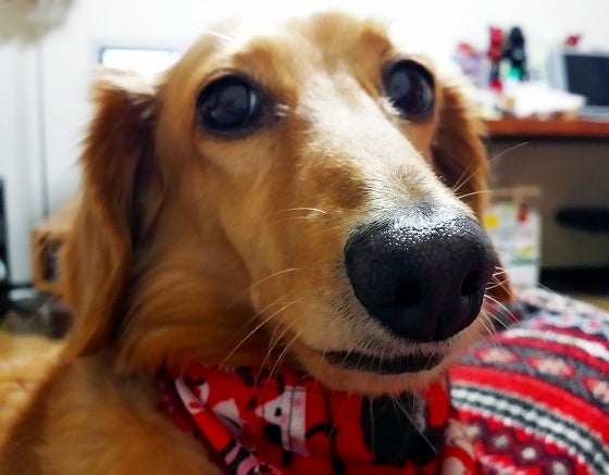 鉄　は　熱　い　う　ち　に　打　て　　　　(*ﾟ∀ﾟ)=3ﾑｯﾊｰ