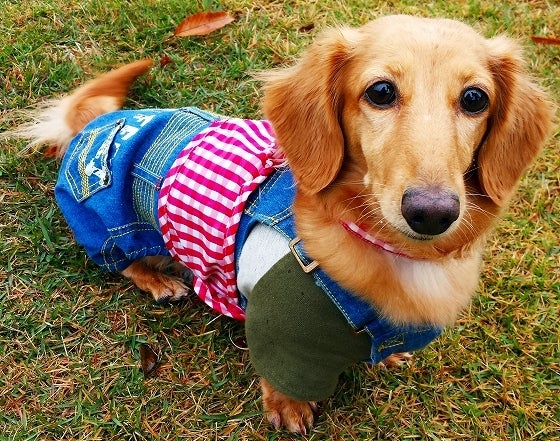 鉄　は　熱　い　う　ち　に　打　て　　　　(*ﾟ∀ﾟ)=3ﾑｯﾊｰ