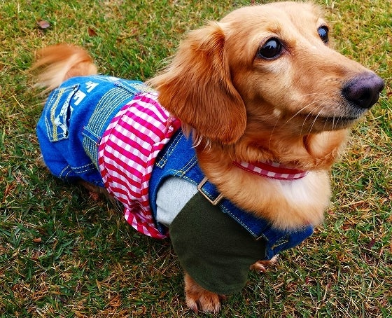 鉄　は　熱　い　う　ち　に　打　て　　　　(*ﾟ∀ﾟ)=3ﾑｯﾊｰ