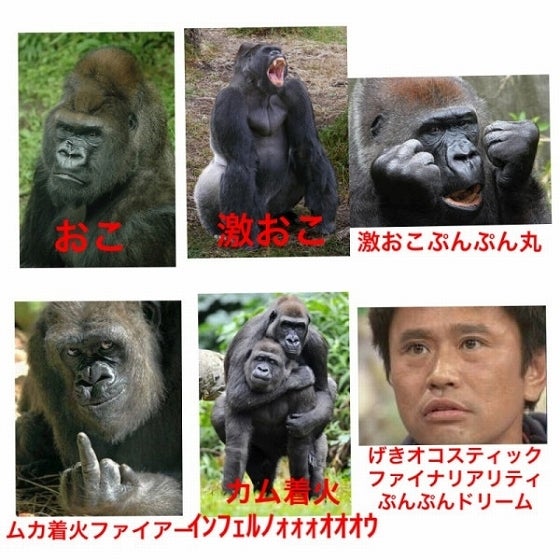 鉄　は　熱　い　う　ち　に　打　て　　　　(*ﾟ∀ﾟ)=3ﾑｯﾊｰ