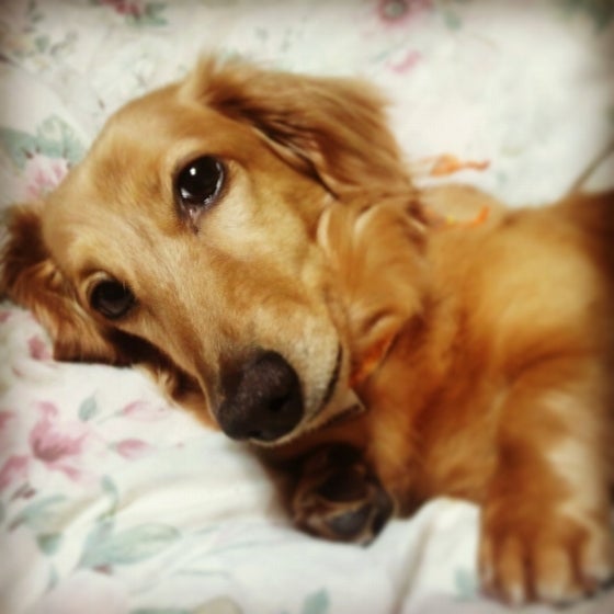 鉄　は　熱　い　う　ち　に　打　て　　　　(*ﾟ∀ﾟ)=3ﾑｯﾊｰ