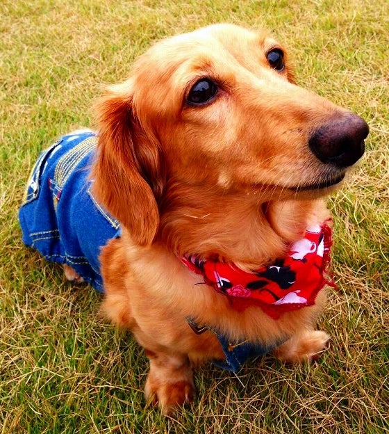 鉄 は 熱 い う ち に 打 て (*゚∀゚)=3ムッハー