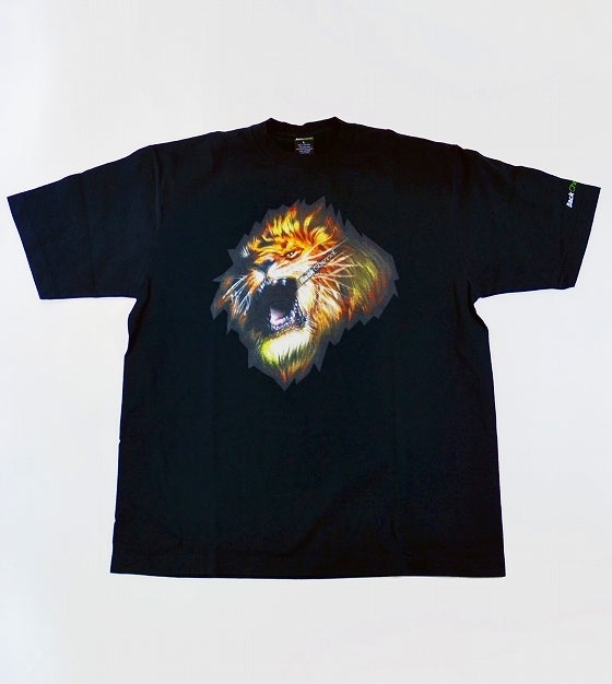 鉄　は　熱　い　う　ち　に　打　て　　　　(*ﾟ∀ﾟ)=3ﾑｯﾊｰ