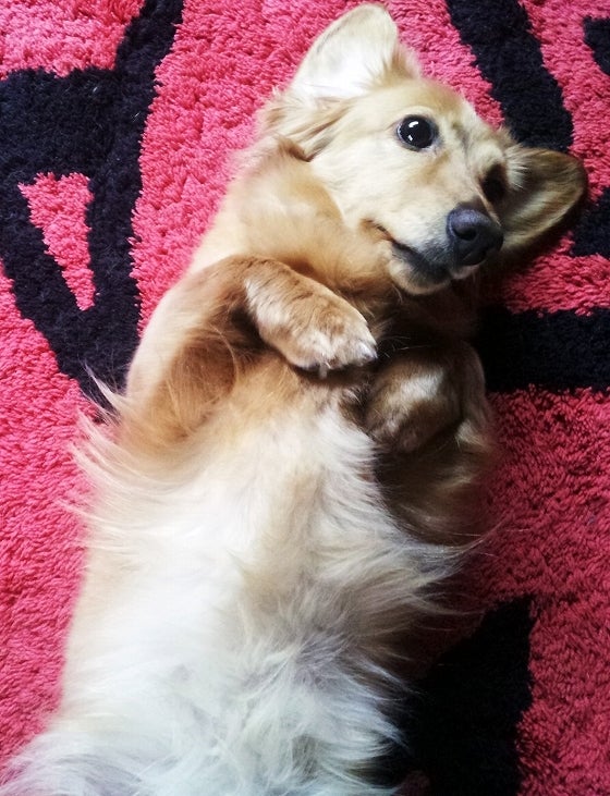 鉄　は　熱　い　う　ち　に　打　て　　　　(*ﾟ∀ﾟ)=3ﾑｯﾊｰ