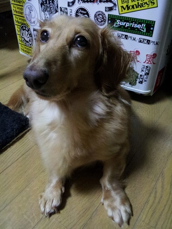 鉄　は　熱　い　う　ち　に　打　て　　　　(*ﾟ∀ﾟ)=3ﾑｯﾊｰ