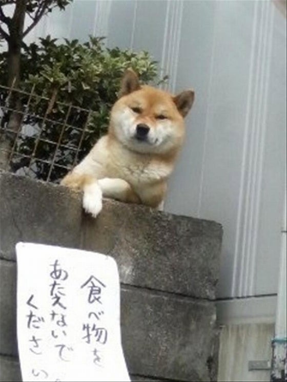 鉄　は　熱　い　う　ち　に　打　て　　　　(*ﾟ∀ﾟ)=3ﾑｯﾊｰ