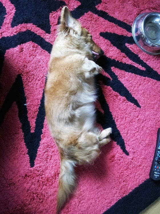 鉄　は　熱　い　う　ち　に　打　て　　　　(*ﾟ∀ﾟ)=3ﾑｯﾊｰ