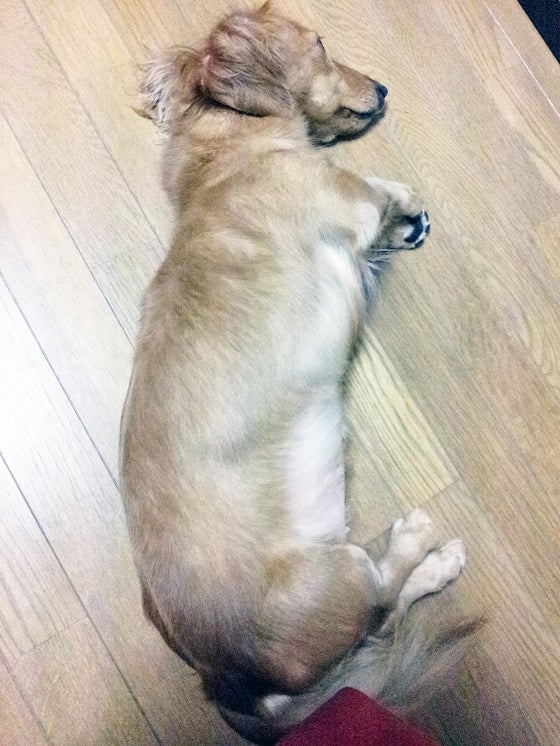 鉄　は　熱　い　う　ち　に　打　て　　　　(*ﾟ∀ﾟ)=3ﾑｯﾊｰ