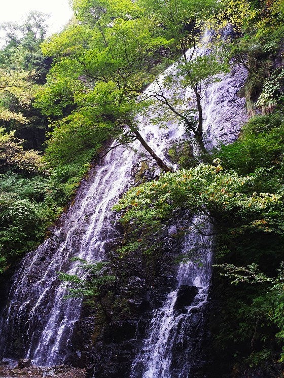 鉄　は　熱　い　う　ち　に　打　て　　　　(*ﾟ∀ﾟ)=3ﾑｯﾊｰ