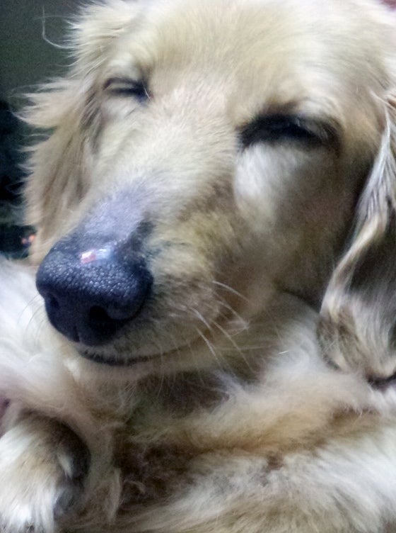 鉄　は　熱　い　う　ち　に　打　て　　　　(*ﾟ∀ﾟ)=3ﾑｯﾊｰ