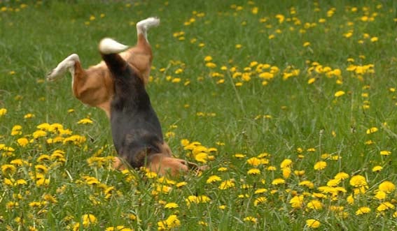 鉄　は　熱　い　う　ち　に　打　て　　　　　　(*ﾟ∀ﾟ)=3ﾑｯﾊｰ