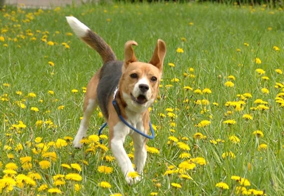 鉄　は　熱　い　う　ち　に　打　て　　　　　　(*ﾟ∀ﾟ)=3ﾑｯﾊｰ